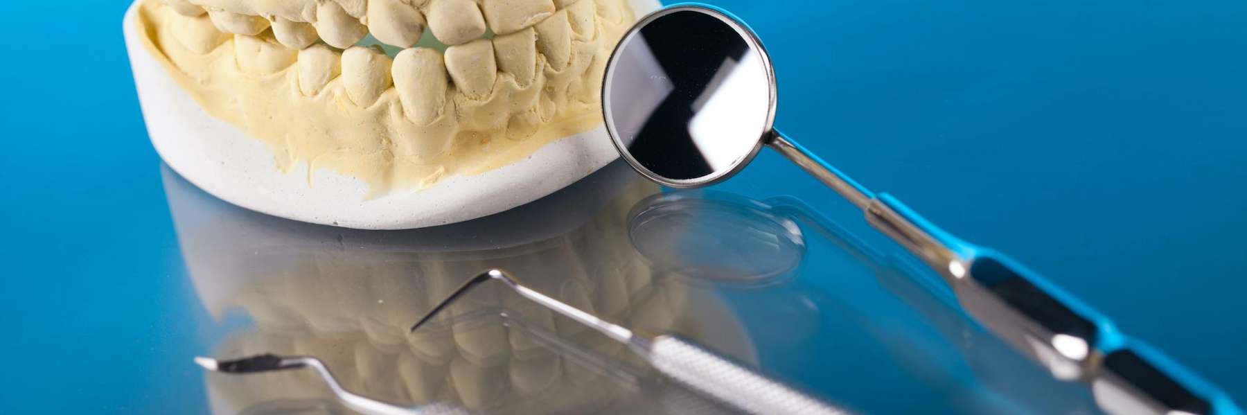 Dental model with professional tools used for restorative and cosmetic dentistry at Cameron Village